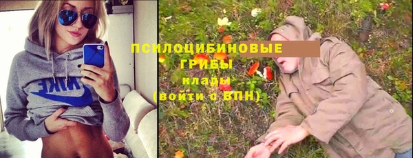 мдпв Заводоуковск