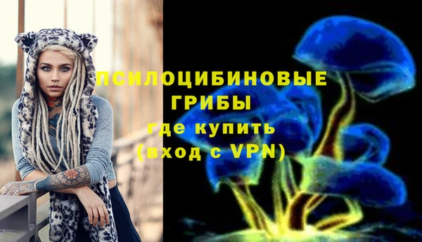 мдпв Заводоуковск